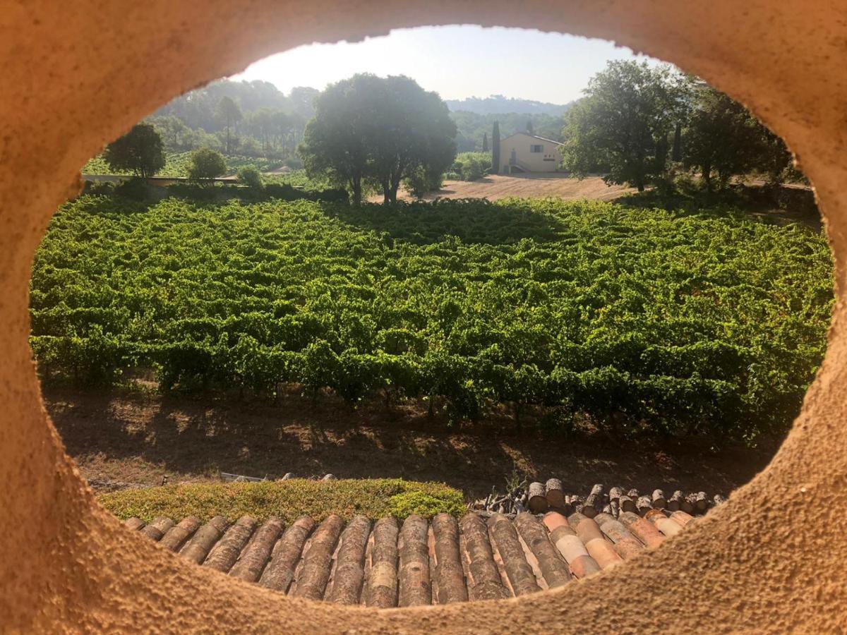 Domaine Du Clos D'Alari-Chambres D'Hotes Au Milieu Des Vignes Saint-Antonin-du-Var Exteriér fotografie
