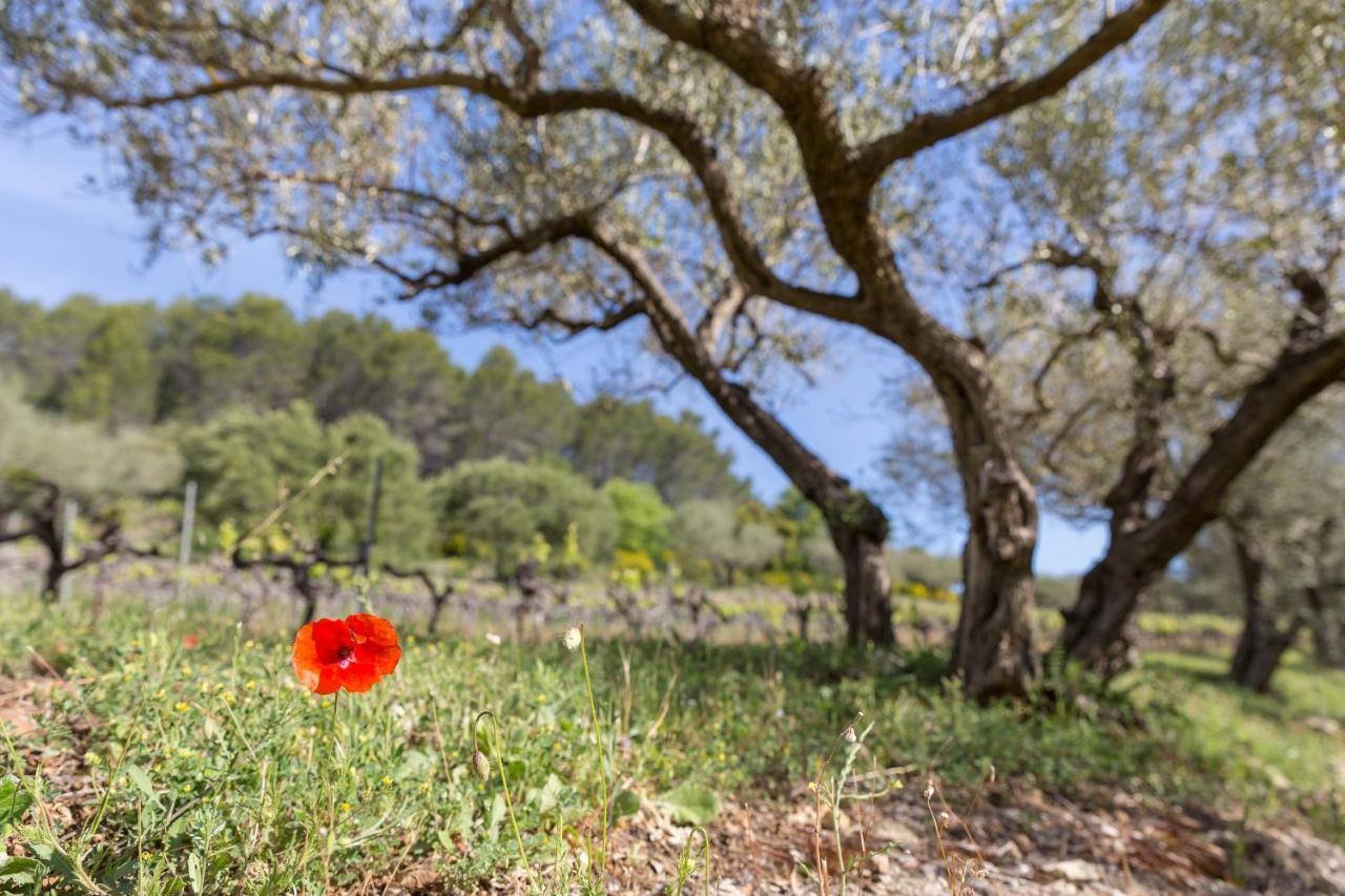 Domaine Du Clos D'Alari-Chambres D'Hotes Au Milieu Des Vignes Saint-Antonin-du-Var Exteriér fotografie