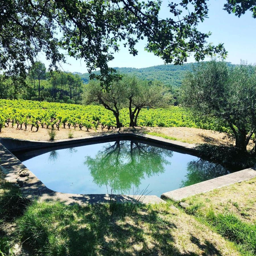 Domaine Du Clos D'Alari-Chambres D'Hotes Au Milieu Des Vignes Saint-Antonin-du-Var Exteriér fotografie