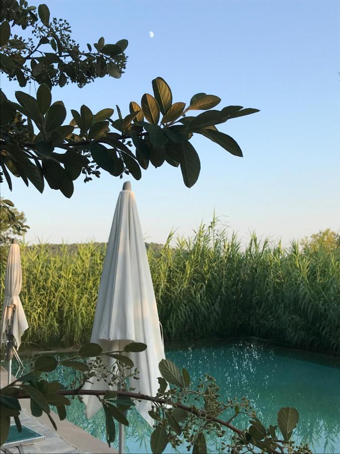 Domaine Du Clos D'Alari-Chambres D'Hotes Au Milieu Des Vignes Saint-Antonin-du-Var Exteriér fotografie