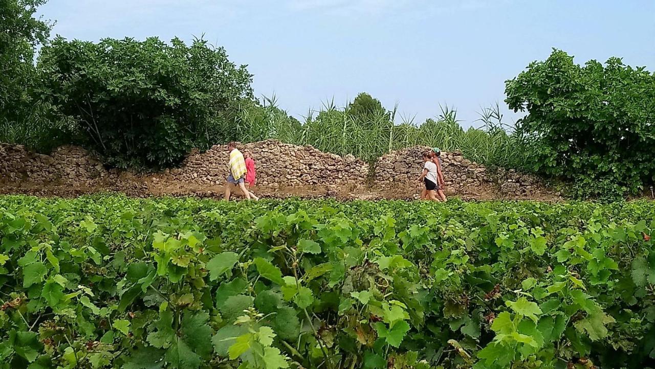 Domaine Du Clos D'Alari-Chambres D'Hotes Au Milieu Des Vignes Saint-Antonin-du-Var Exteriér fotografie
