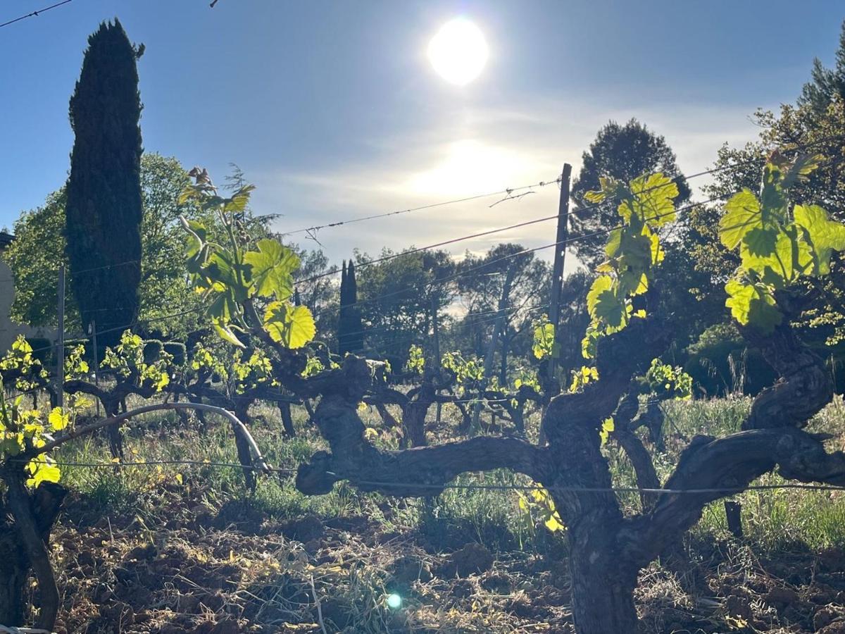 Domaine Du Clos D'Alari-Chambres D'Hotes Au Milieu Des Vignes Saint-Antonin-du-Var Exteriér fotografie