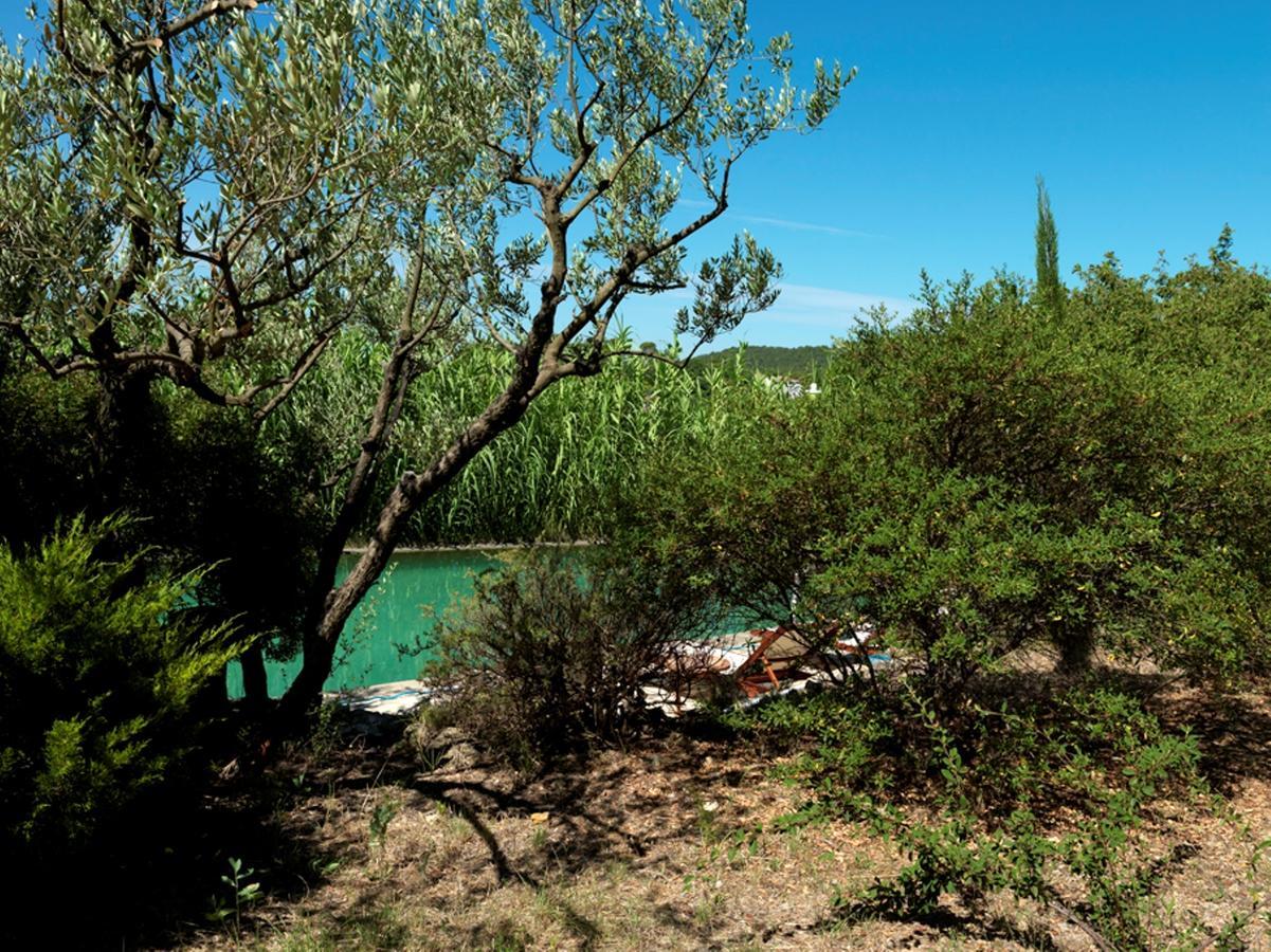 Domaine Du Clos D'Alari-Chambres D'Hotes Au Milieu Des Vignes Saint-Antonin-du-Var Exteriér fotografie