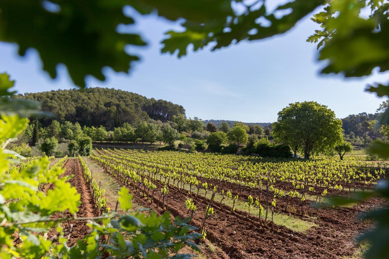 Domaine Du Clos D'Alari-Chambres D'Hotes Au Milieu Des Vignes Saint-Antonin-du-Var Exteriér fotografie